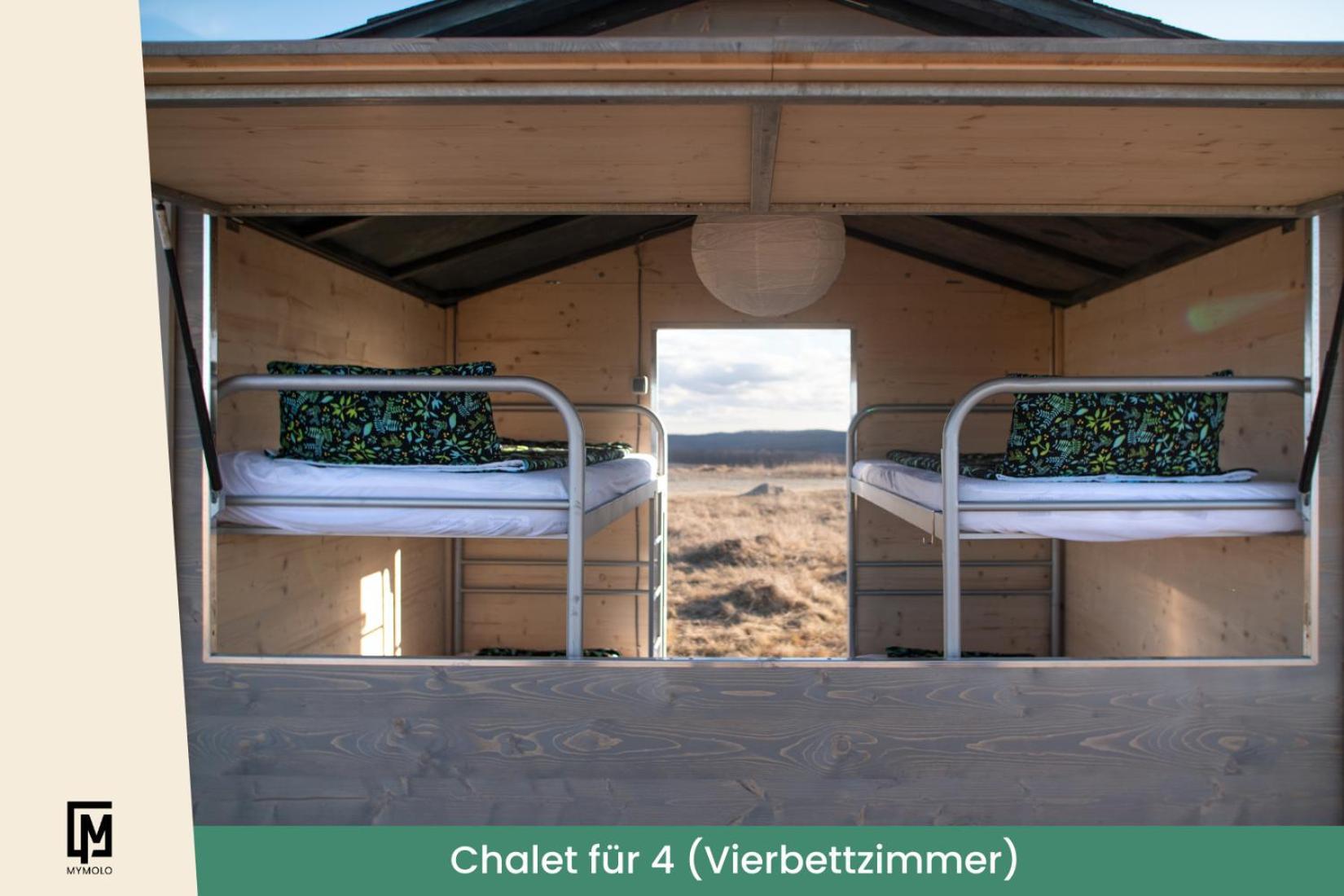 Glamping In Der Zeche Ewald Herten Herten  Kültér fotó