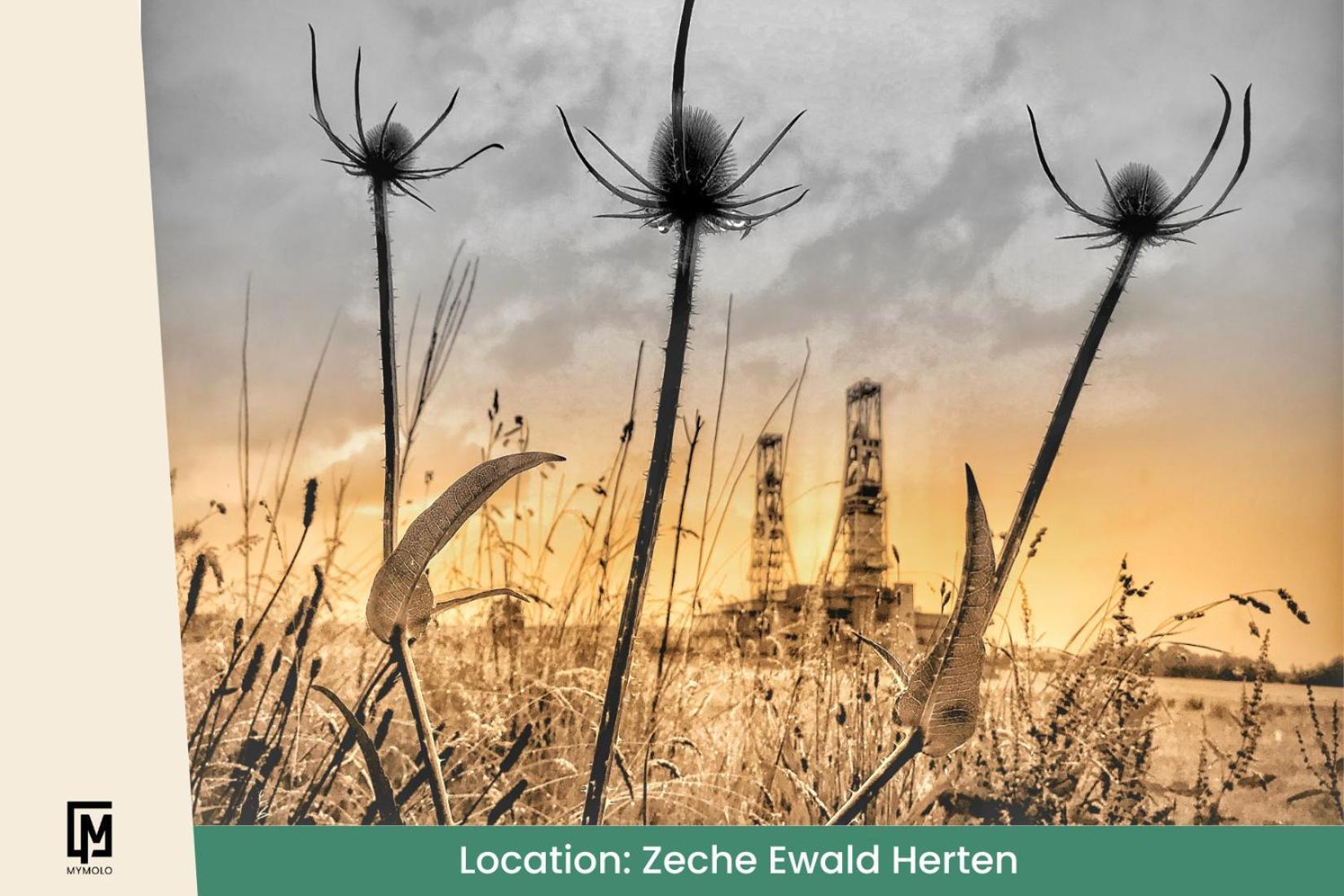 Glamping In Der Zeche Ewald Herten Herten  Kültér fotó